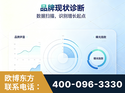 景洪-品牌现状诊断